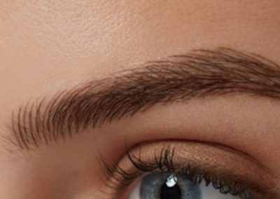 Eye with eye brows